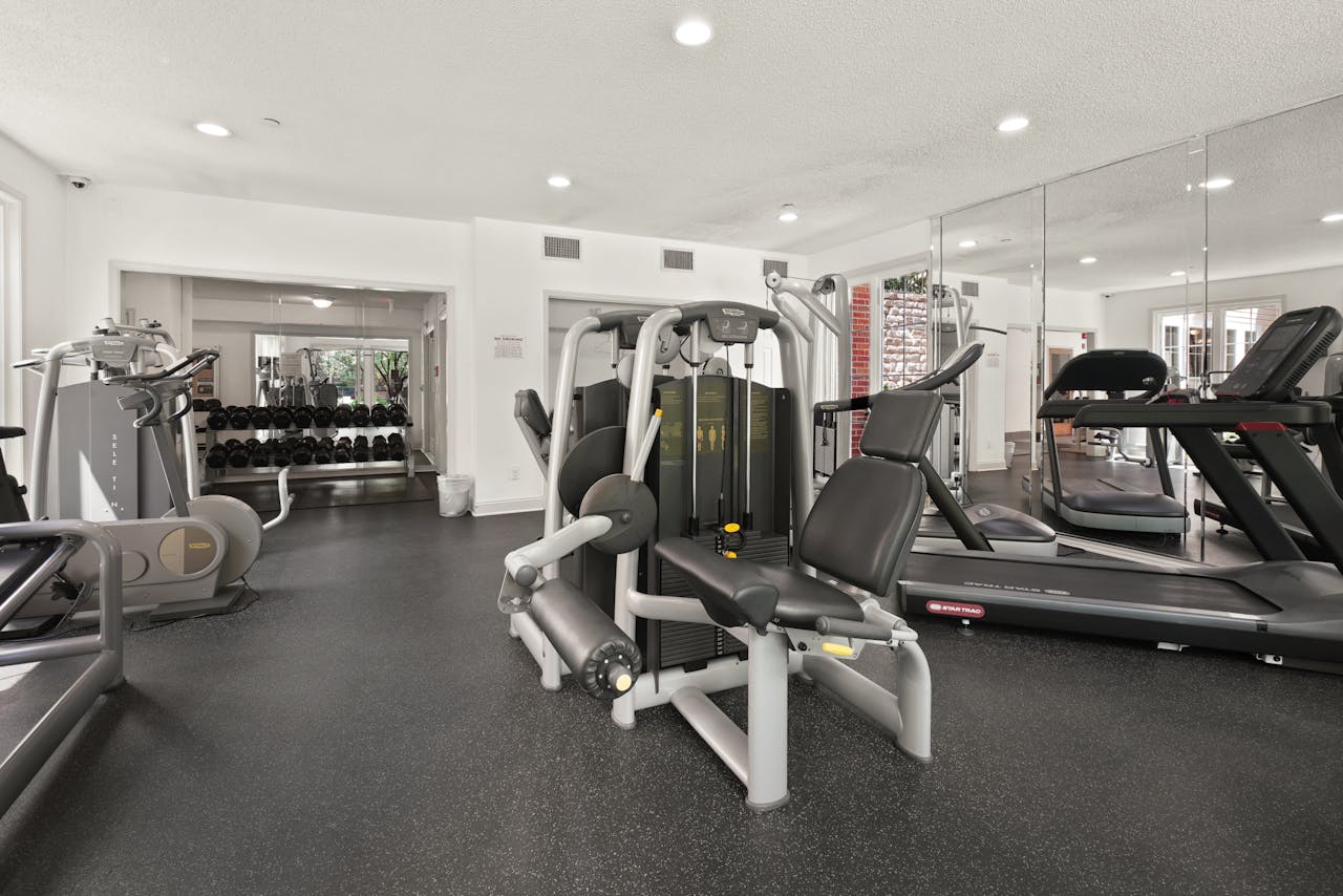 Spacious gym interior featuring various fitness equipment and natural lighting.